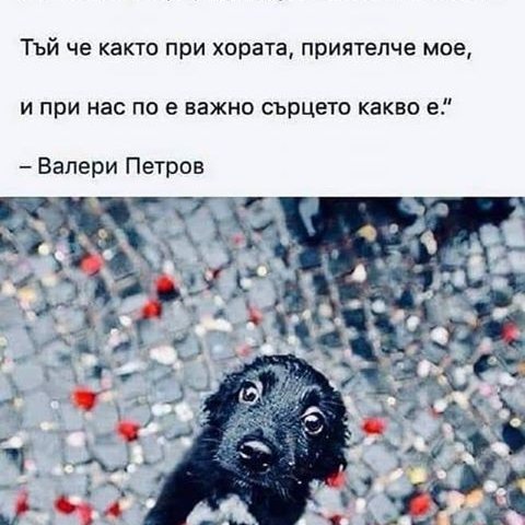 Ученически проекти