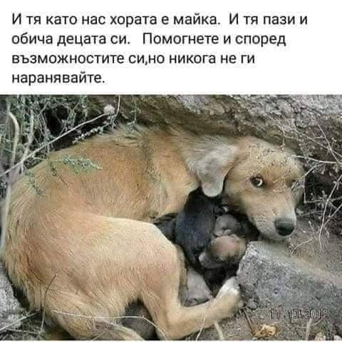 Ученически проекти