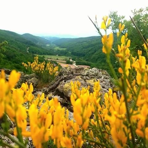 Ученически проекти