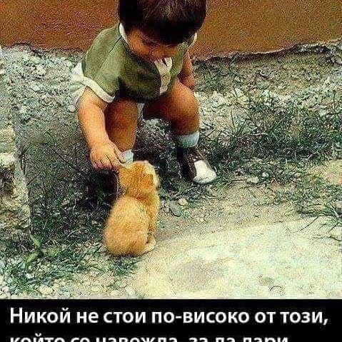 Ученически проекти