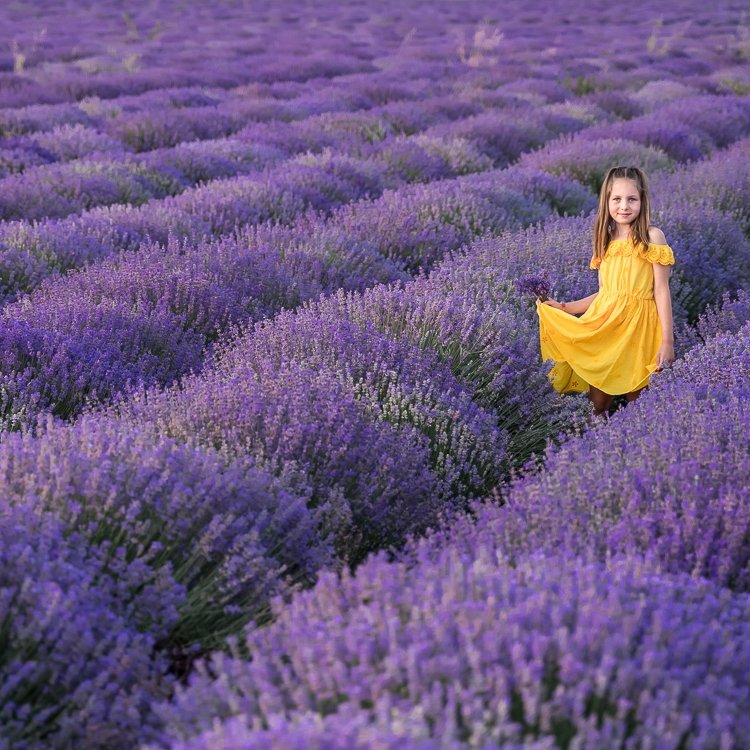 Лавандулова фотосесия