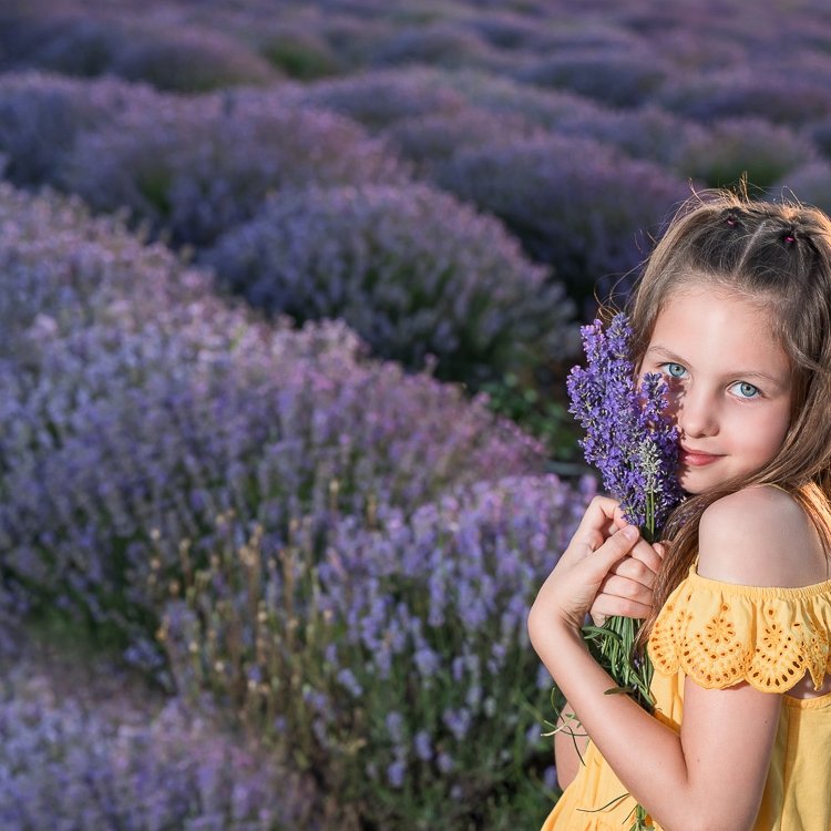Лавандулова фотосесия