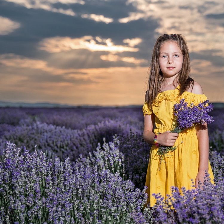 Лавандулова фотосесия