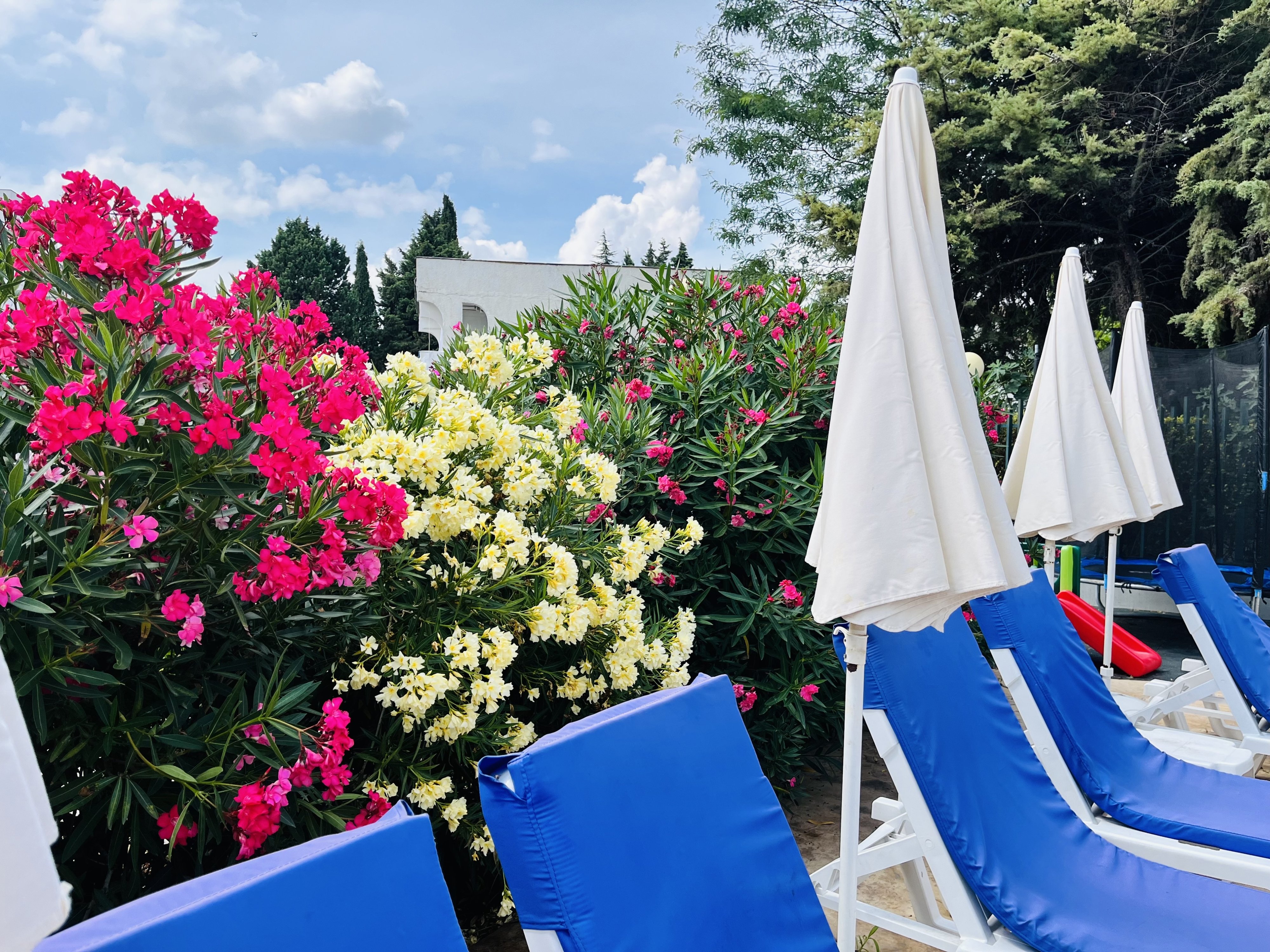 Почивка на море Хотел ДЕСИСЛАВА Равда Desislava Hotel Ravda Nessebar Bulgaria