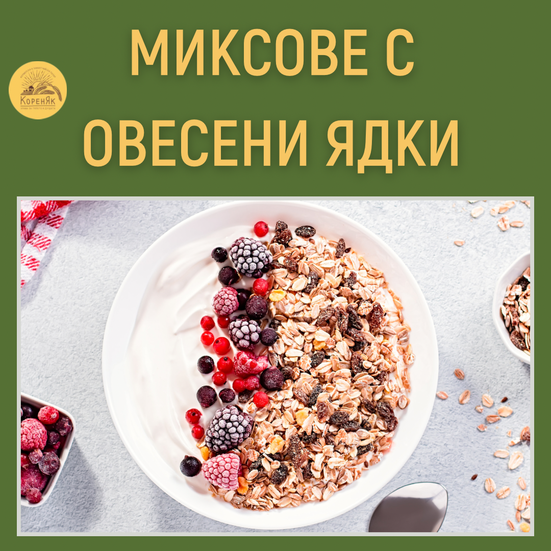 НАЧАЛО