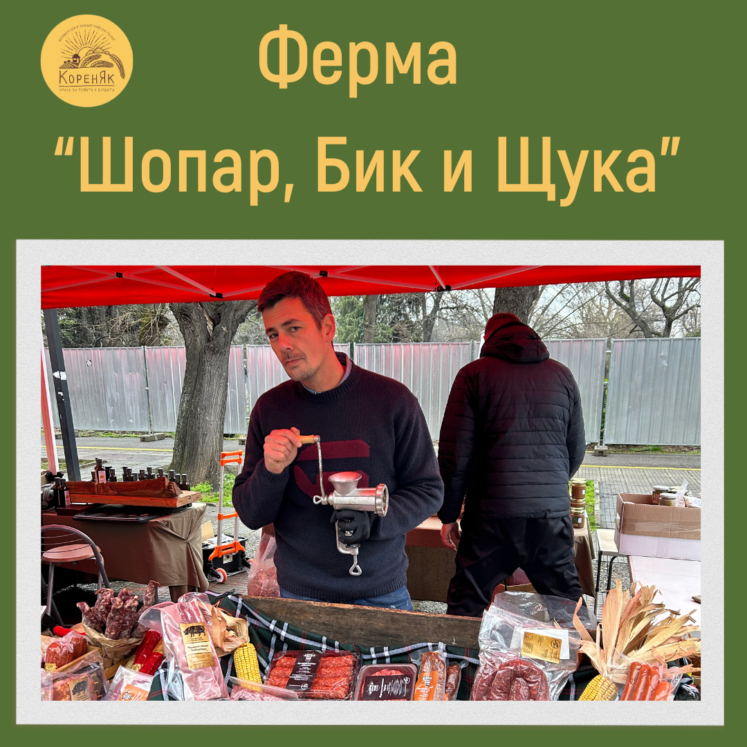НАЧАЛО