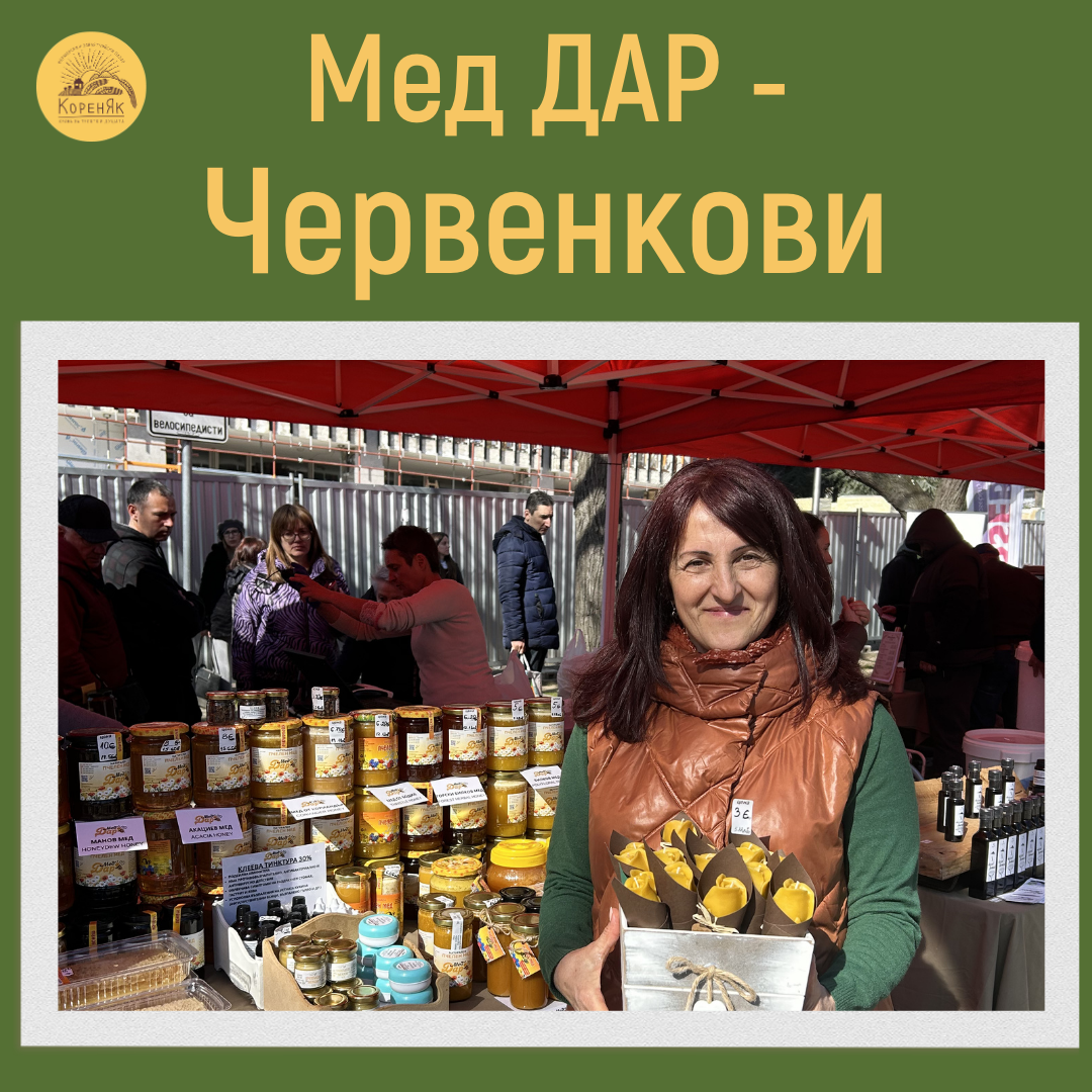 НАЧАЛО