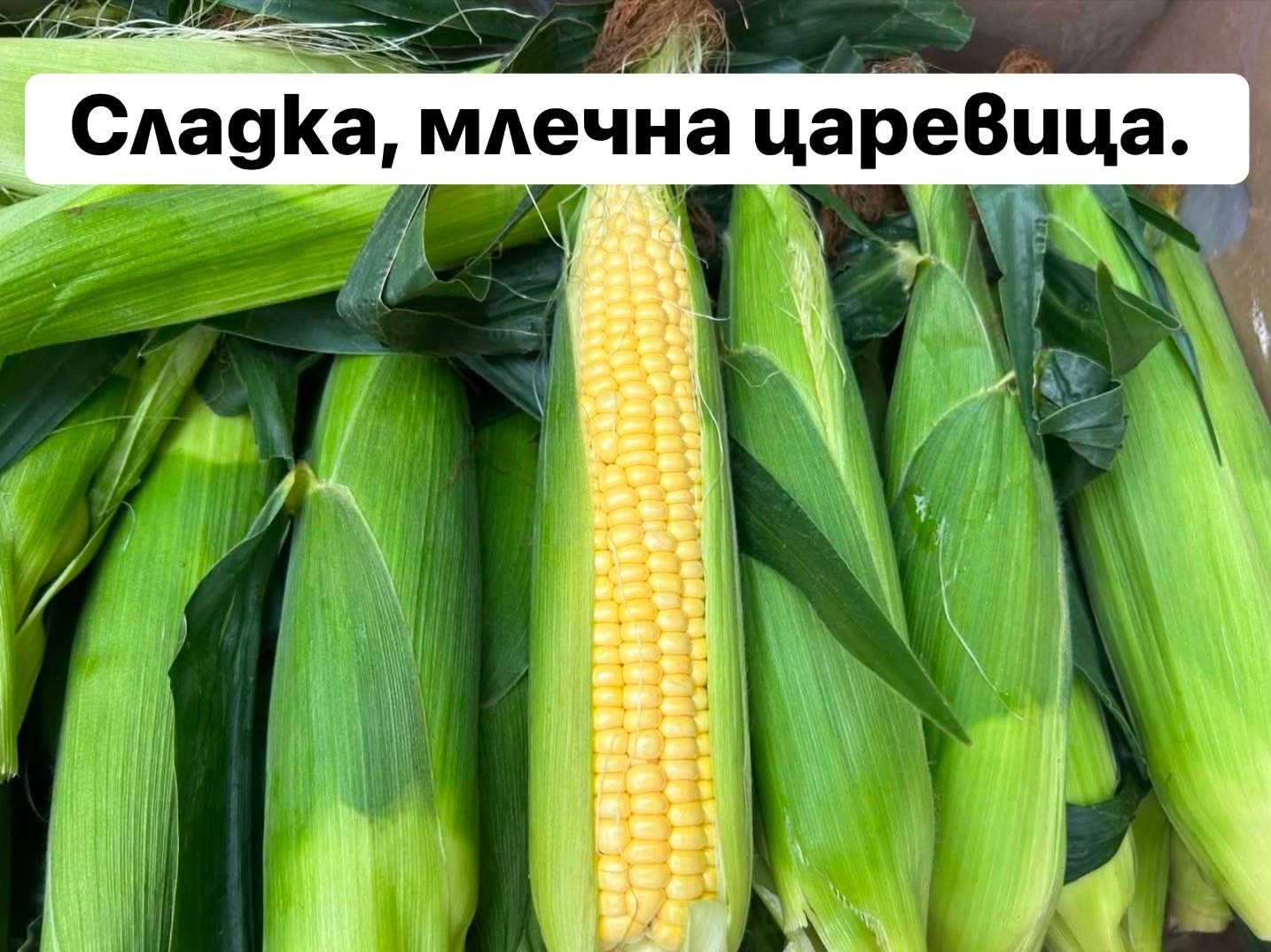 НАЧАЛО