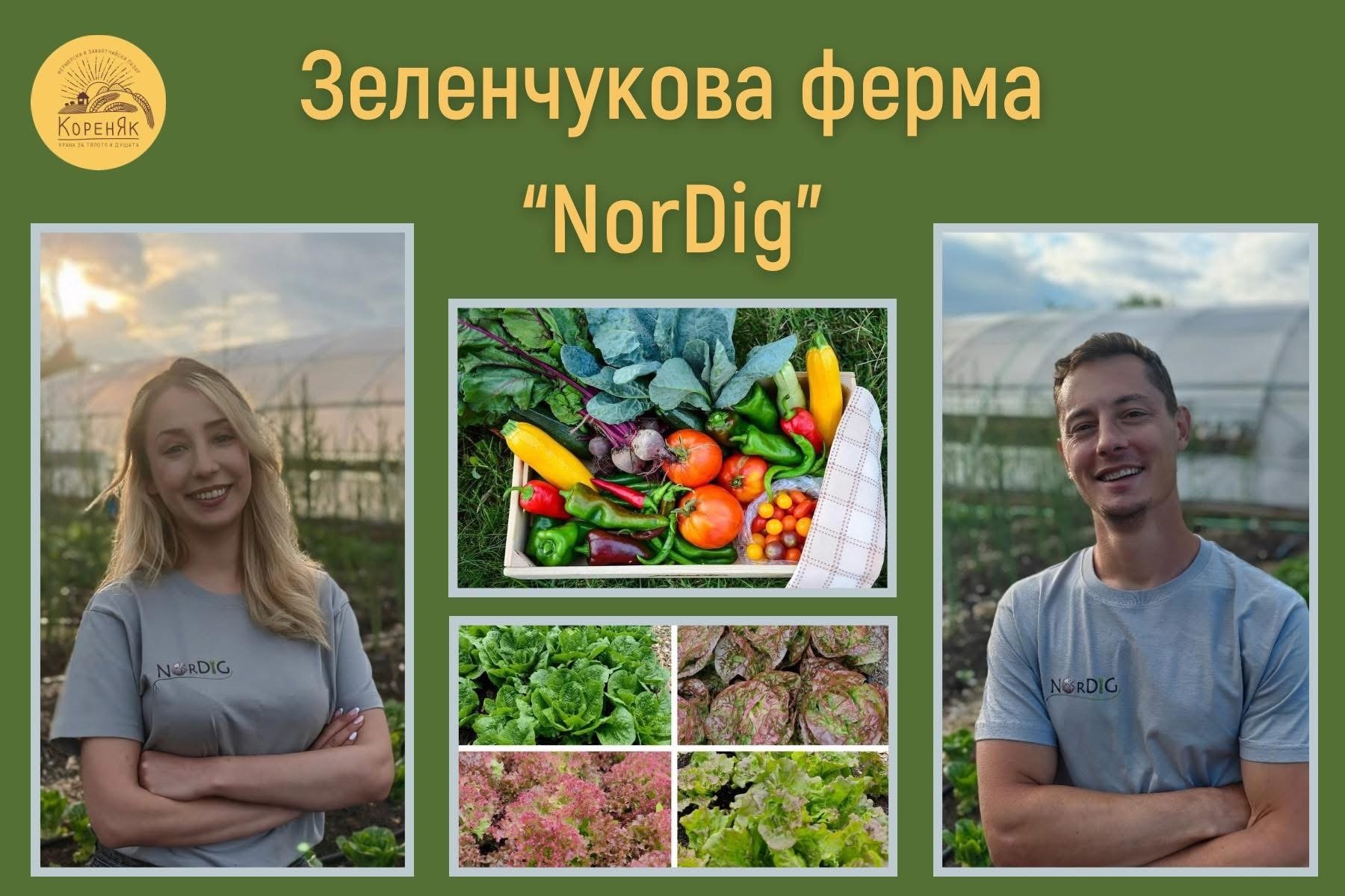 НАЧАЛО