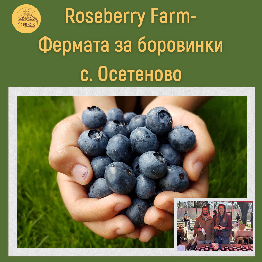 НАЧАЛО