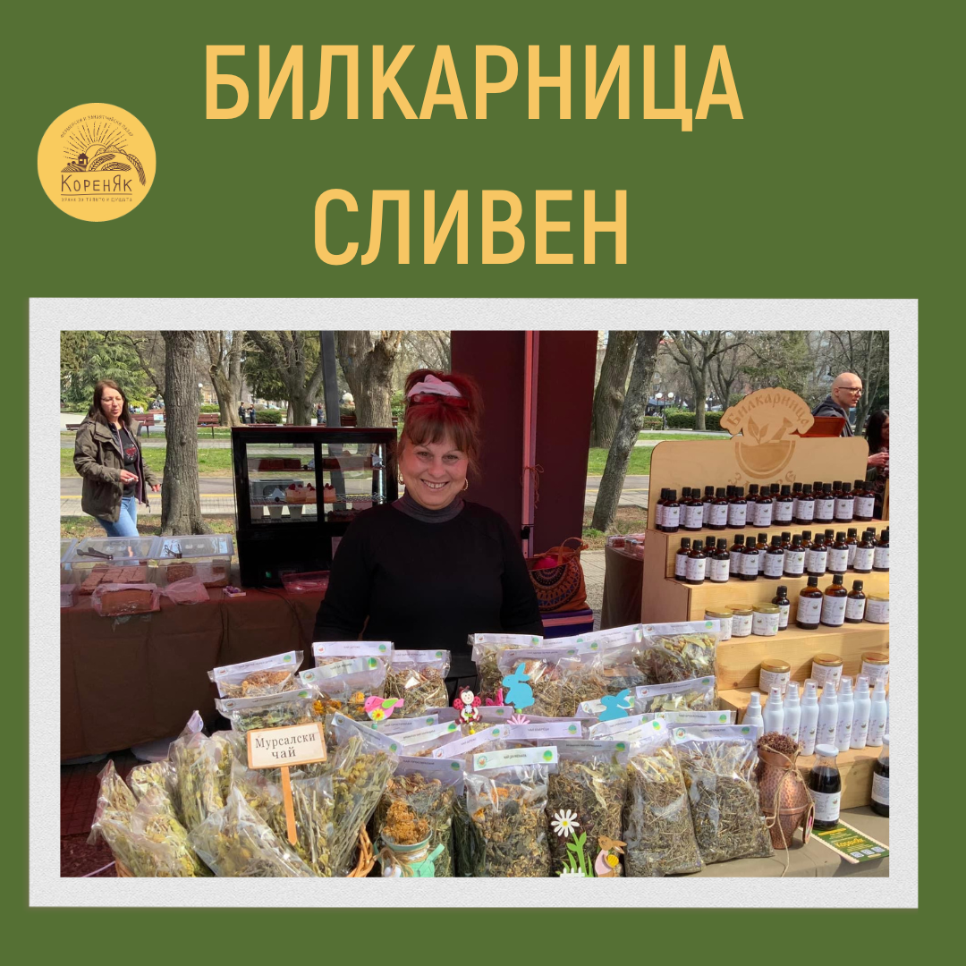 НАЧАЛО