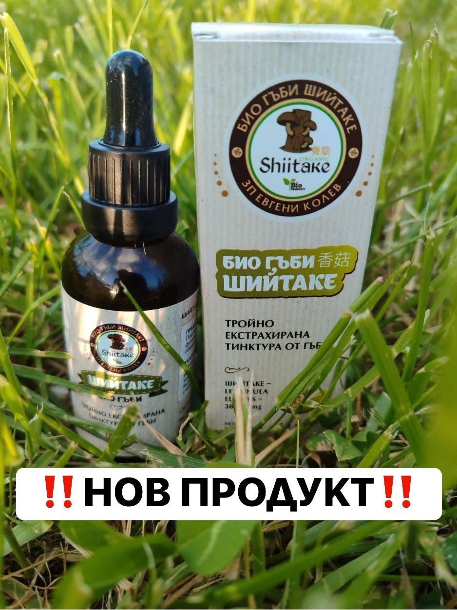 НАЧАЛО
