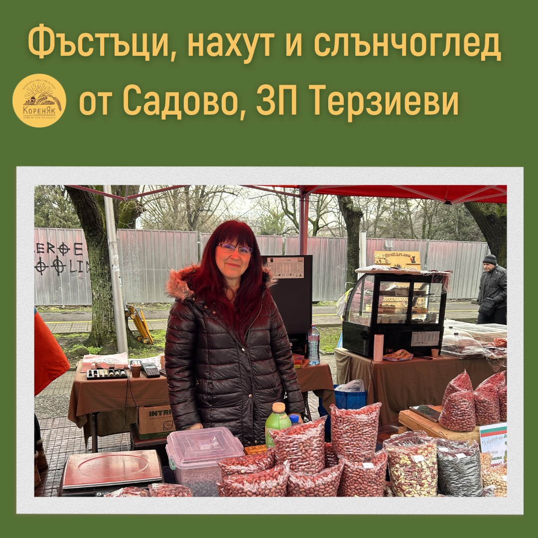 НАЧАЛО