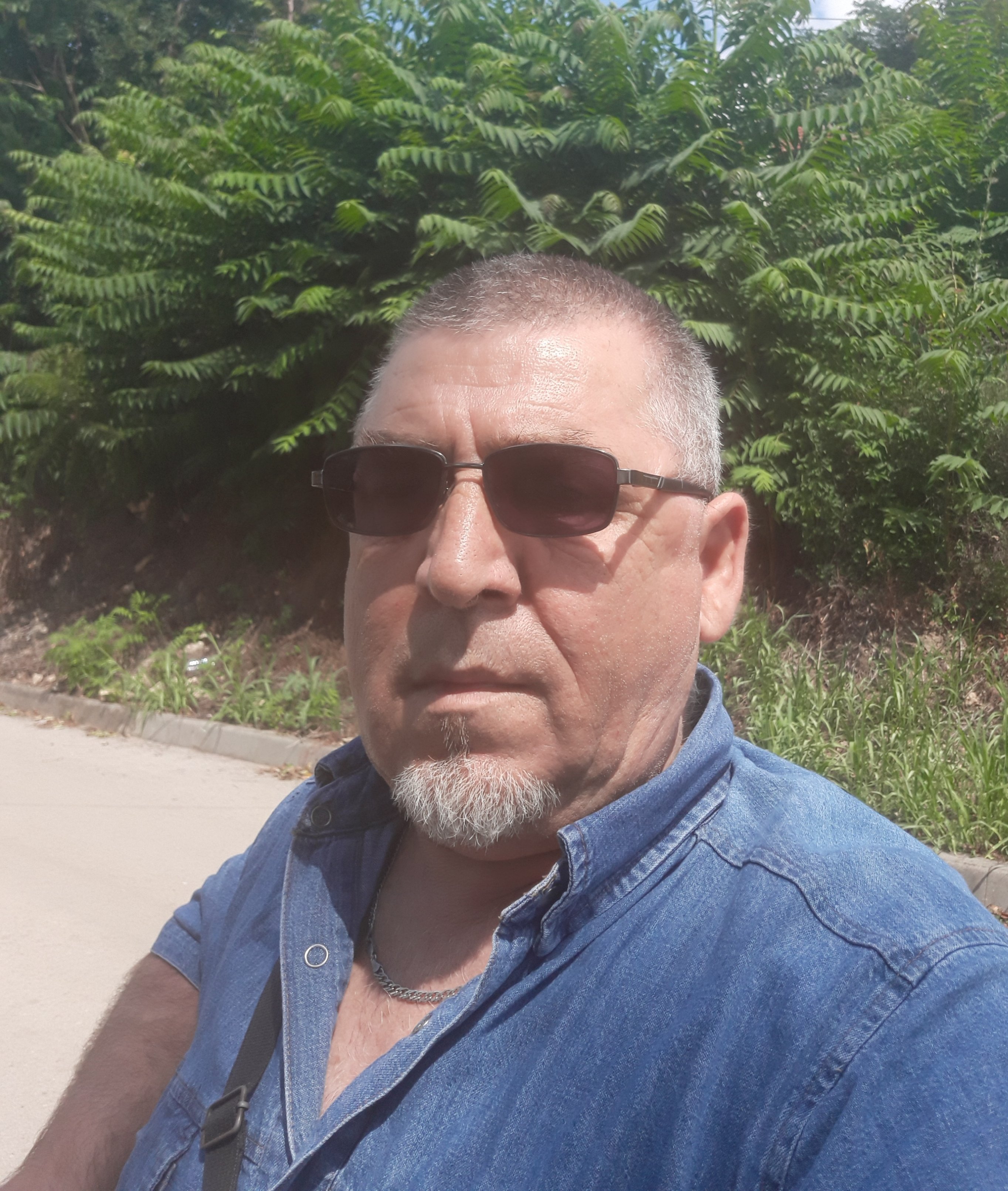 kulov alle.bg
