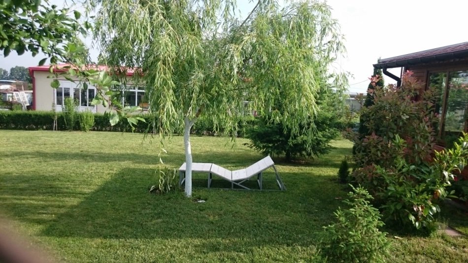 Лотос 98 ООД