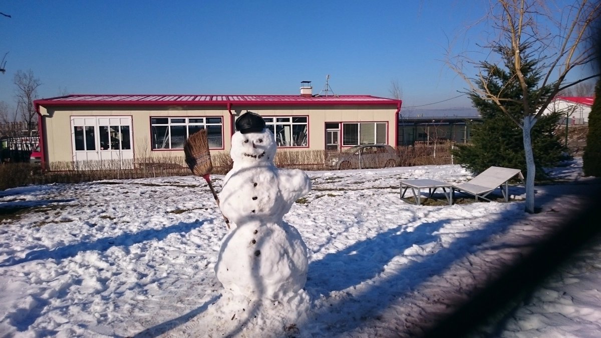 Лотос 98 ООД