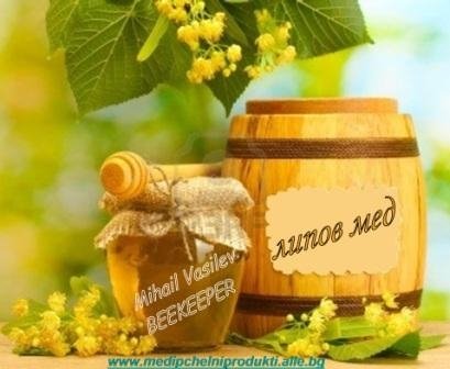 ЛИПОВ МЕД