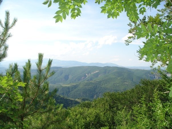 Галерия