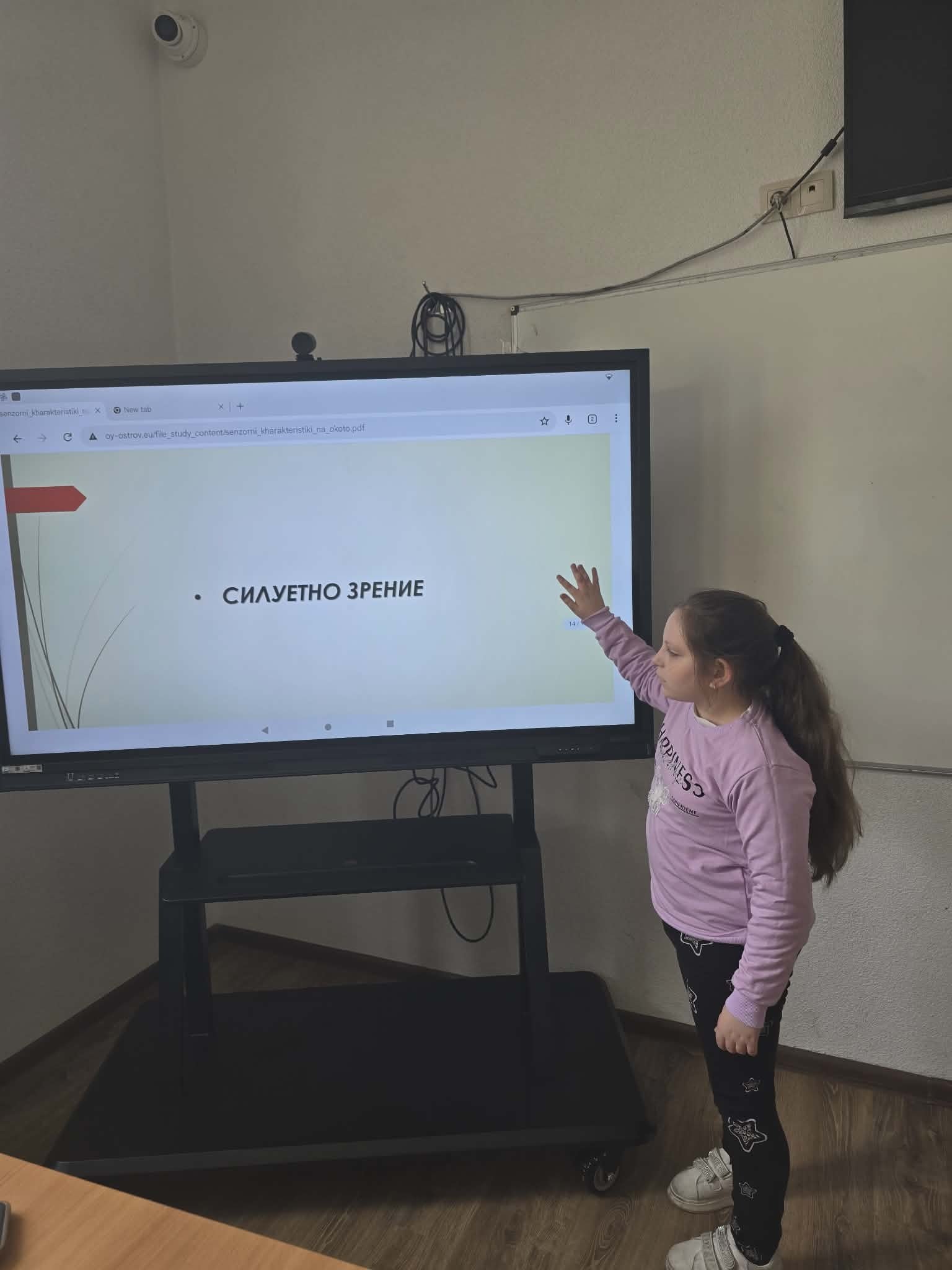Инициативи по БДП