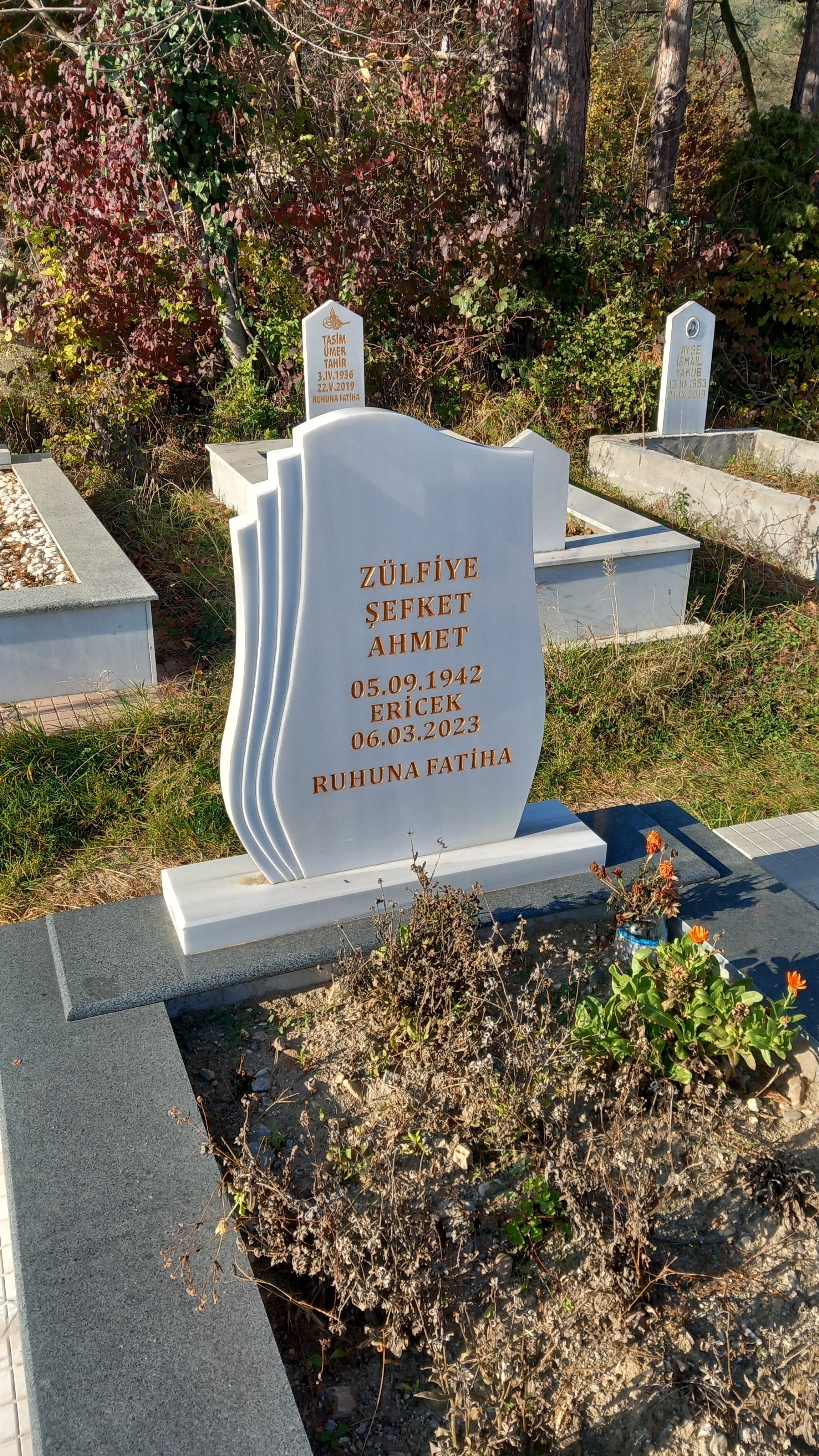 паметници