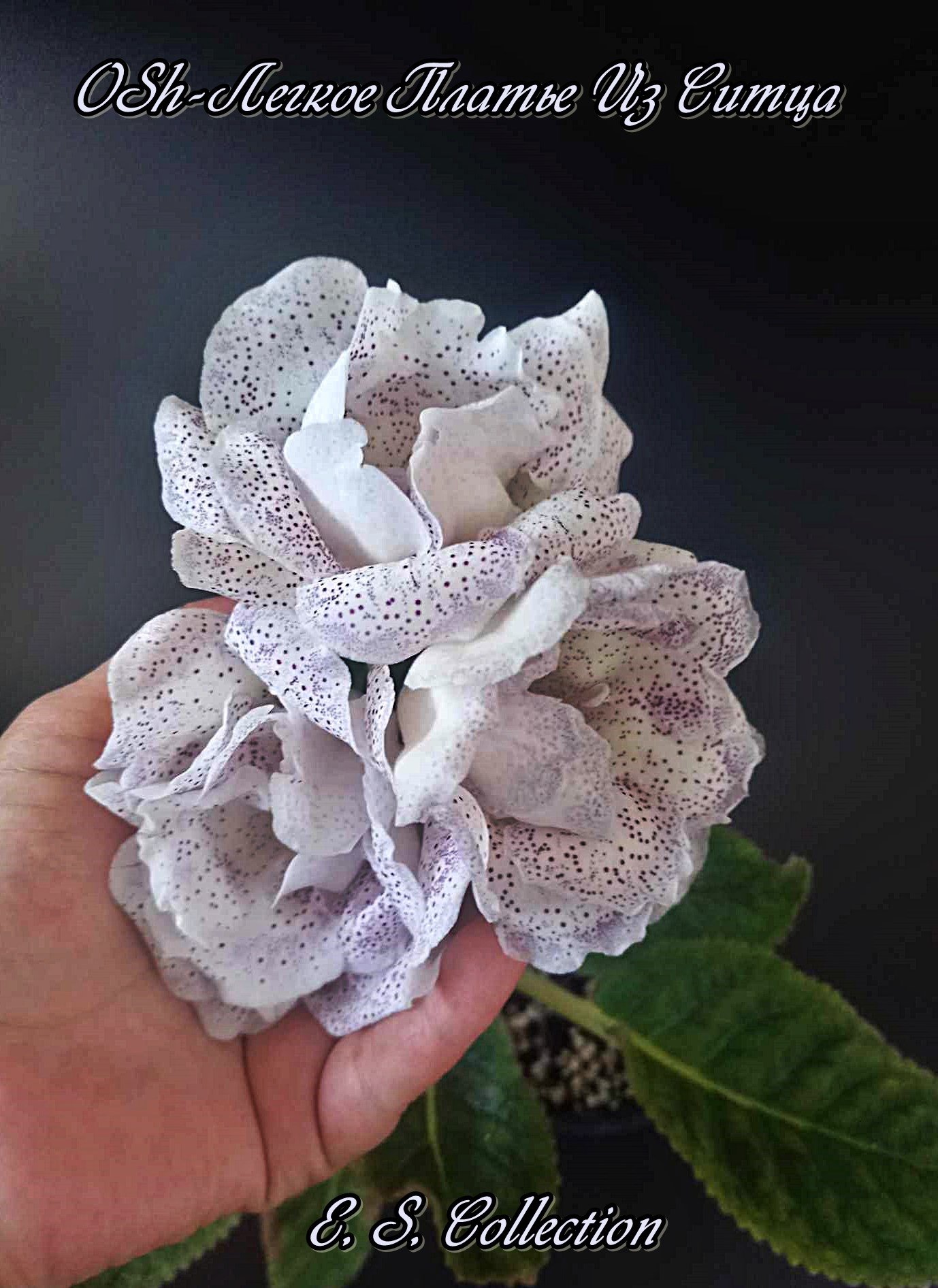 Глоксиния (Gloxinia) OSh-Легкое Платье Из Ситца
