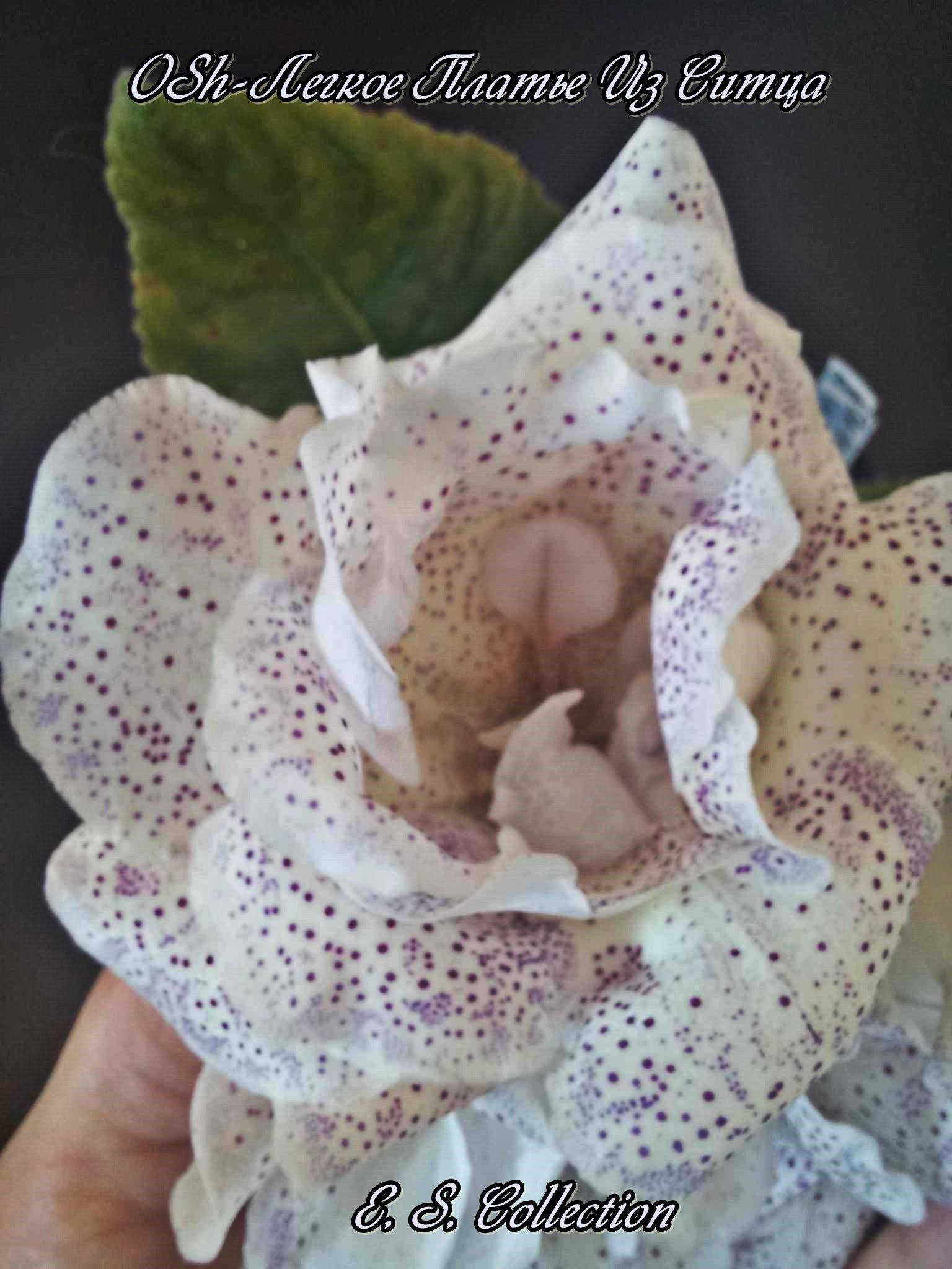 Глоксиния (Gloxinia) OSh-Легкое Платье Из Ситца