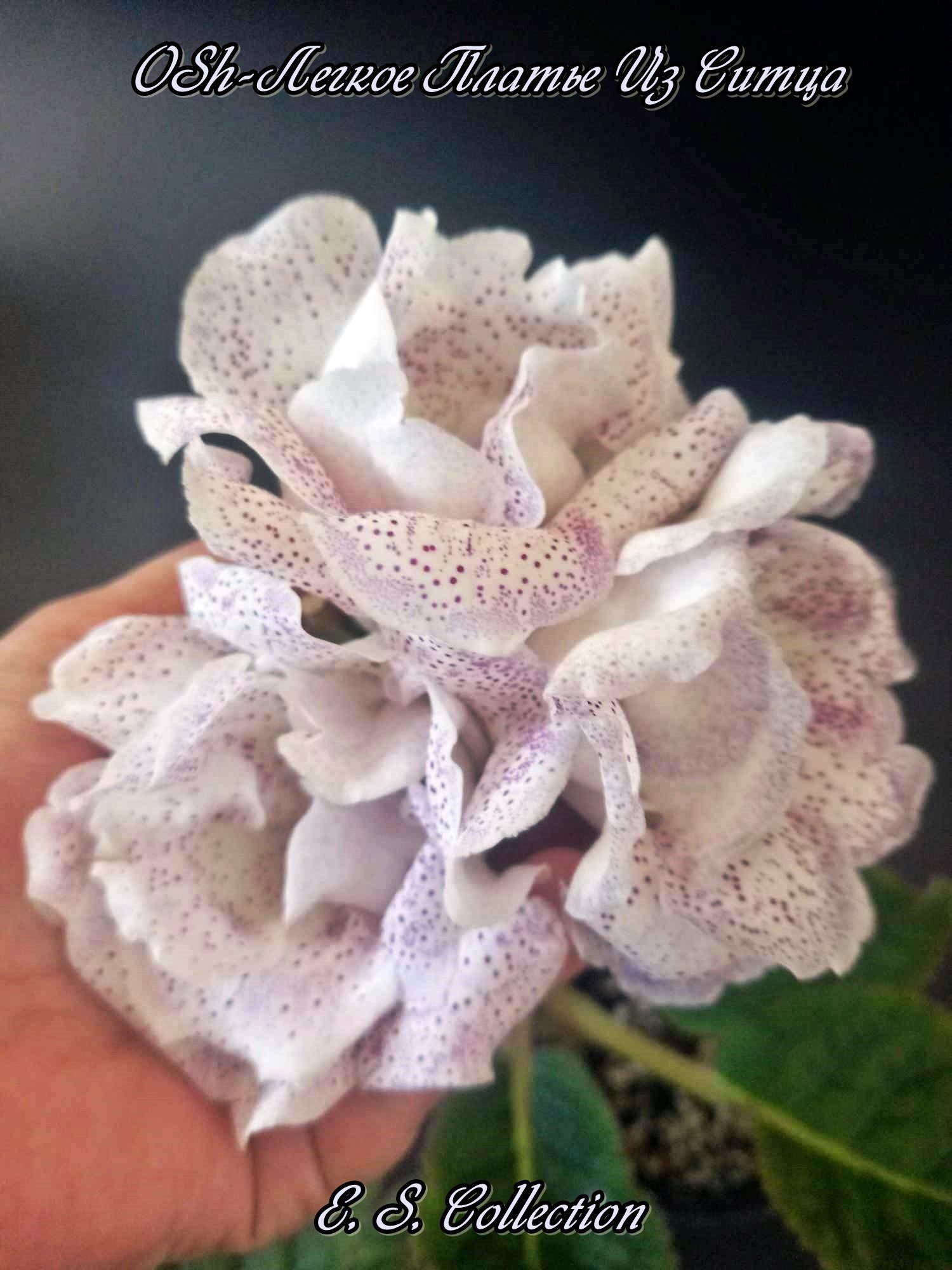 Глоксиния (Gloxinia) OSh-Легкое Платье Из Ситца